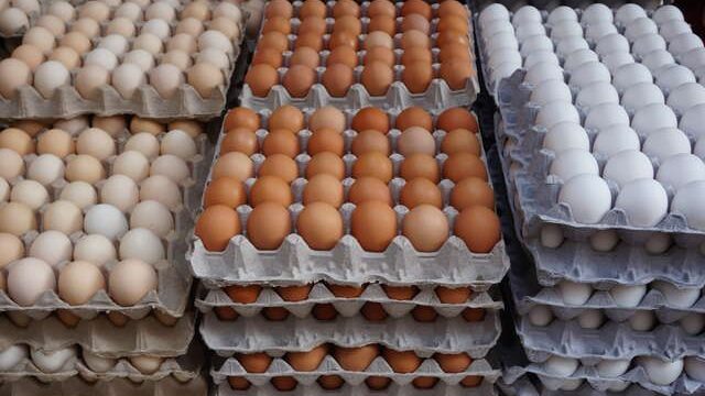 cardboard crates of fresh white yellow & brown…